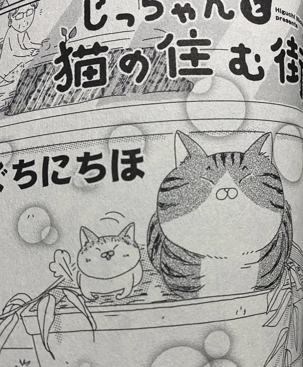 ねこぱんち発売しております!
じっちゃんと猫の住む街は少し前のこのふたりのお話。よろしくお願いいたします! 