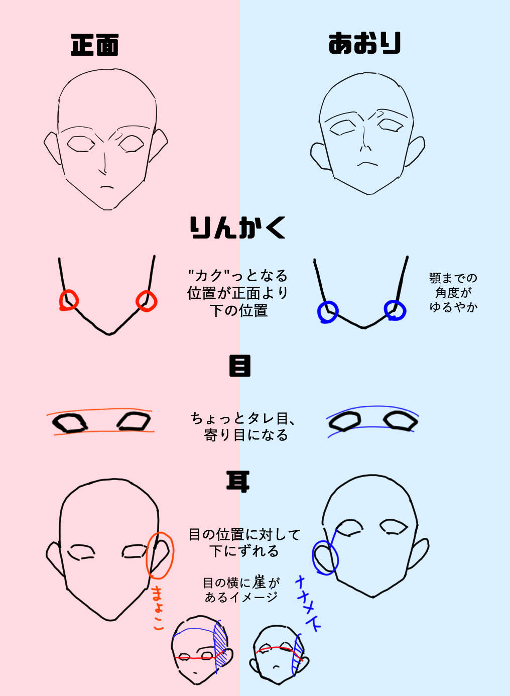 ミウラサイダー Skeb依頼募集中 苦手意識のあったアオリの顔の描き方 少しポイントをつかめたのでまとめました ここを抑えておくとそれらしくなる気がする イラスト好きさんと繋がりたい イラスト講座 顔の描き方 アオリ T Co 4sgzswvdqf