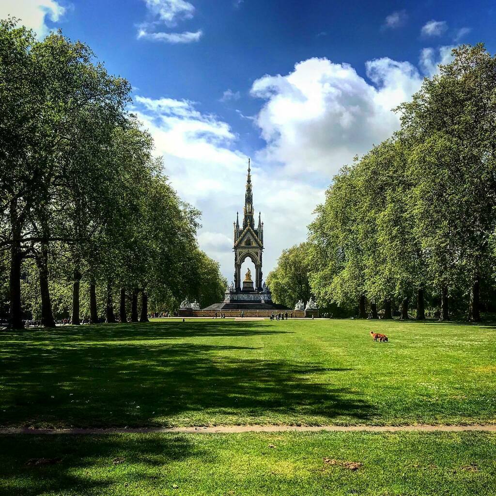 malumpfy's tweet photo. Albert Memorial, Kensington Gardens, last May
#onthisday #onthisdayinhistory #princealbert #typhoid #albertmemorial #albertbridge #alberthall #royalalberthall #queenvictoria #kensingtongardens #kensington #albertopolis #kensingtonandchelsea #royalborou… https://t.co/NCVX3SN82J https://t.co/lkBpcjb6oD