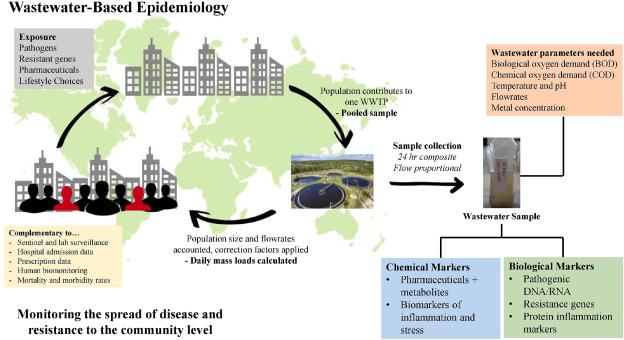 joshbayliss4's tweet image. &apos;Paper-based devices for rapid diagnostics and testing sewage for early warning of COVID-19 outbreak&apos;
Available (Open Access) to read: 
sciencedirect.com/science/articl…
@EnvSciHealth @Damia_Barcelo @ElsevierChemEng