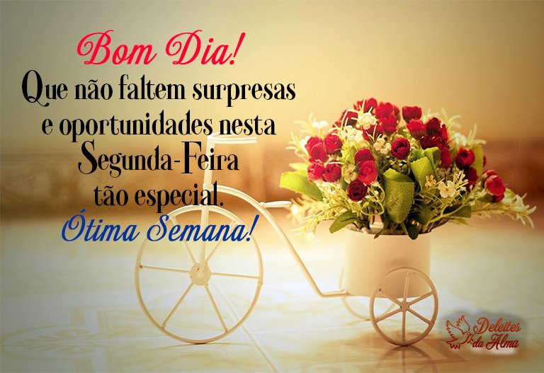🇧🇷Rose 🇧🇷®🌻🌻's tweet - 🇧🇷Rose 🇧🇷®🌻🌻's tweet -