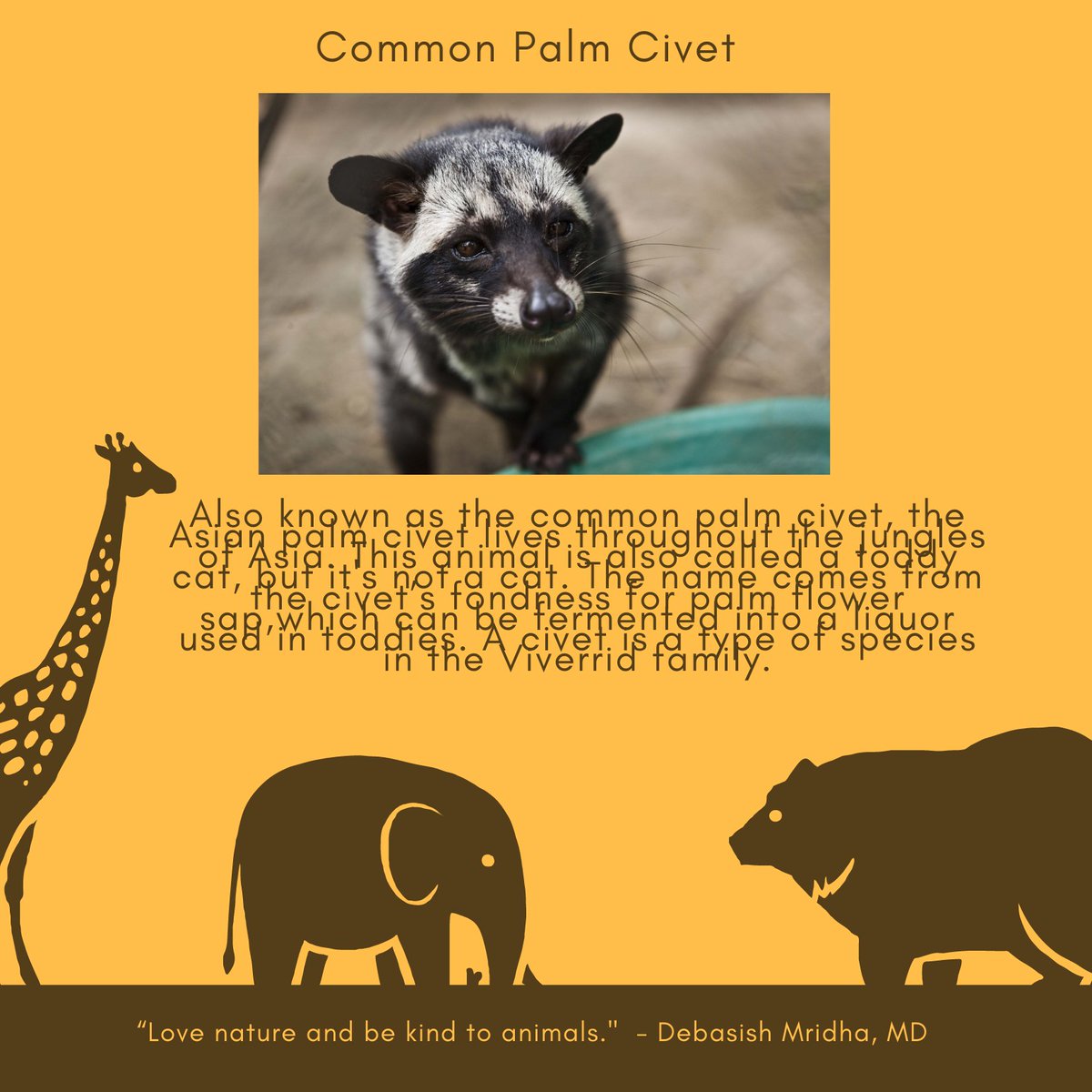 lunarskies's tweet photo. PART 1 of gifts for Bright's 23rd Birthday
I adopted a cat for bright name Regina in Bright's name. Its a Common Palm Civet Cat. Happy early birthday Bright may your have the best birthday..@bbrightvc  #BrightBDPresents https://t.co/PMauRkbipz