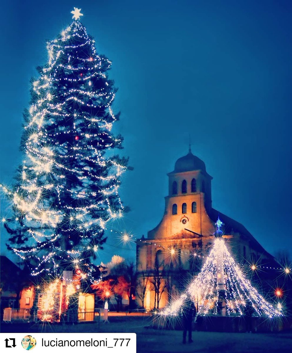 Département Haut-Rhin tweet media