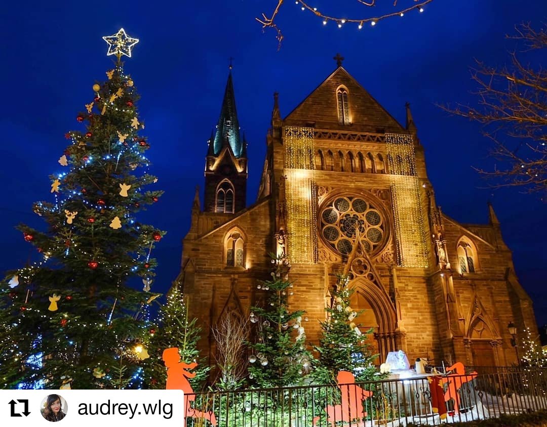 Département Haut-Rhin tweet media
