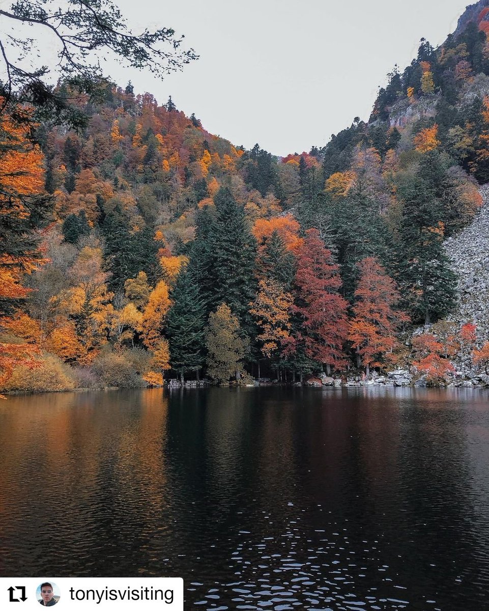 😀😉😆 #Bonnesemaine à toutes et à tous !

📸 Notre traditionnel partage de #photos du Haut-Rhin vu par les internautes.

Transmettez-nous vos plus belles photos, via les Hashtags #HautRhin et #CD68

👉m.facebook.com/story.php?stor…
