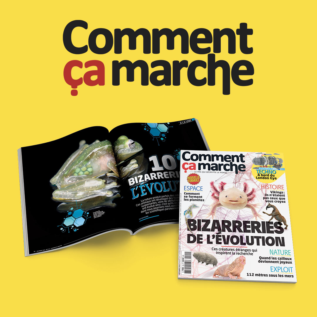 Fleurus Presse tweet media