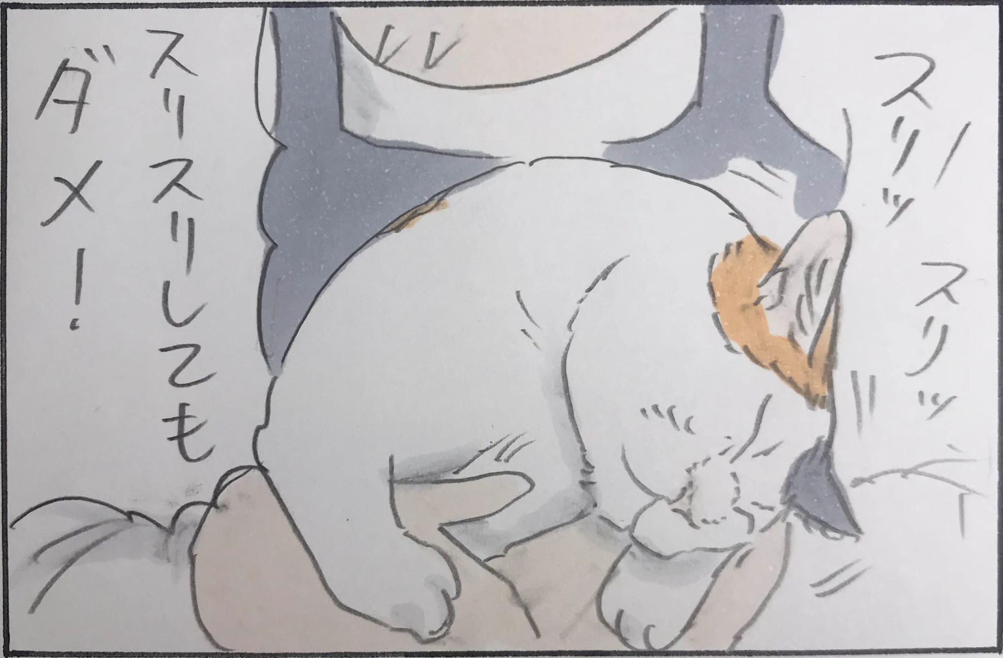 猫あるある？あの手この手でクローゼットに入ろうとするｗｗ