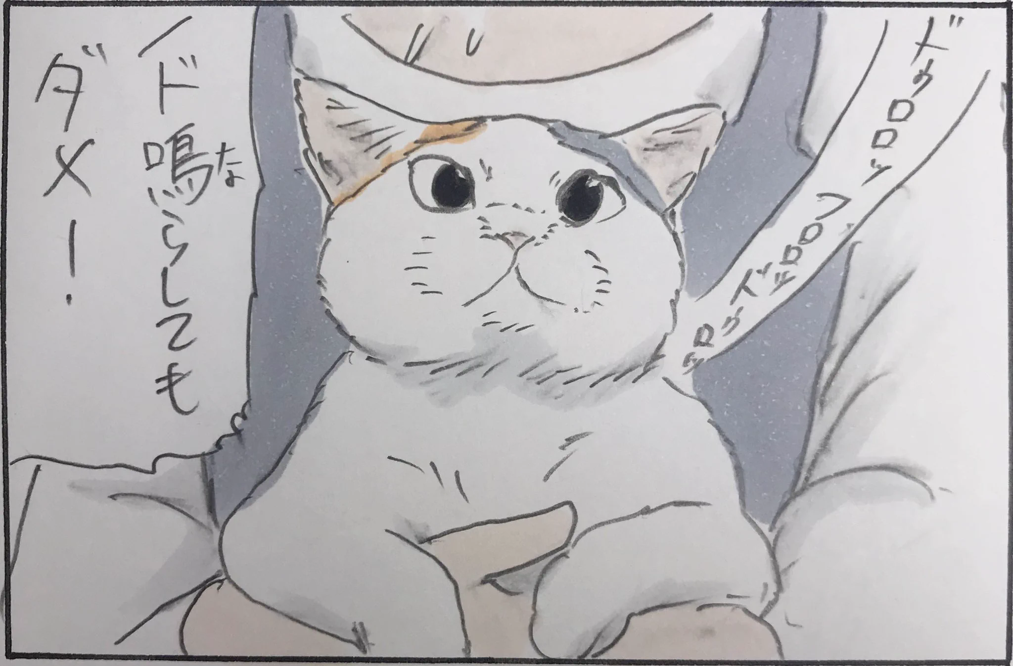 猫あるある？あの手この手でクローゼットに入ろうとするｗｗ