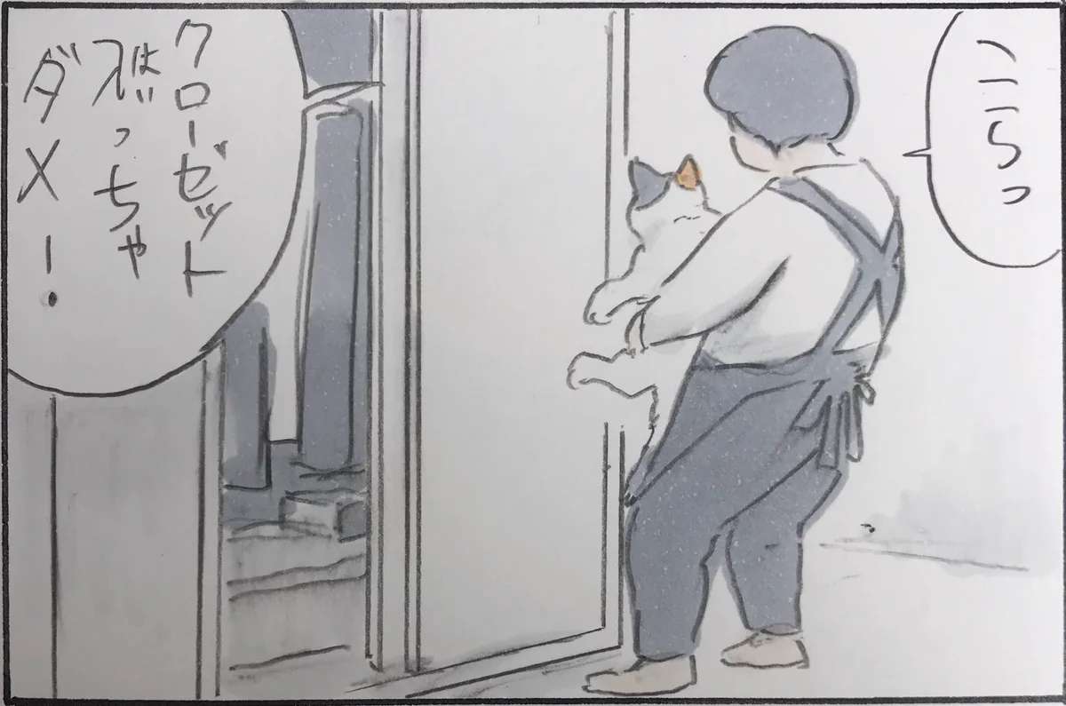 猫あるある？あの手この手でクローゼットに入ろうとするｗｗ