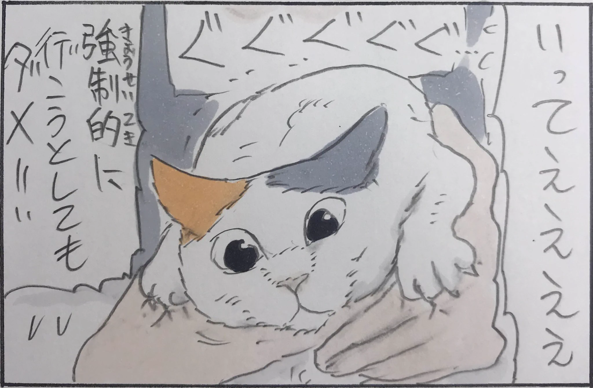 猫あるある？あの手この手でクローゼットに入ろうとするｗｗ