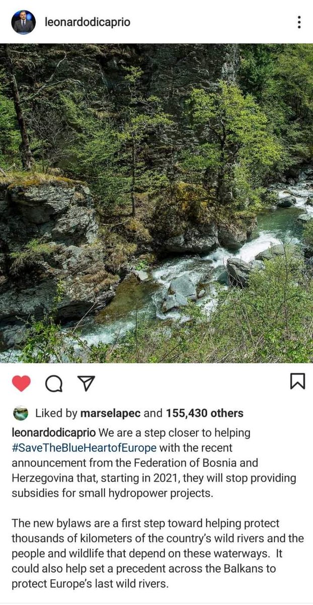 FondacijaA's tweet photo. 💪{PODRŠKA}💪
@LeoDiCaprio ponovo pruža podršku aktivistima i aktivistkinjama koji se bore za rijeke u BiH 🌊 u sklopu kampanje 💙 Save the Blue Heart of Europe i #jaBiHdatecem. 
https://t.co/9FEPmJUNXk 
#SaveTheBlueHeartofEurope #BiHRunsFree #ExtinctionEndsHere  #stopMHE https://t.co/yAcYJEJjvZ