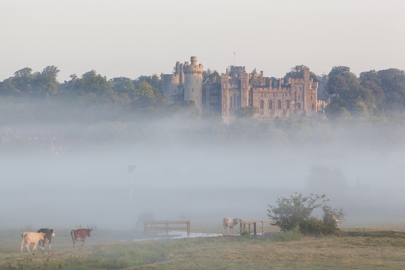 Arundel Castle tweet media