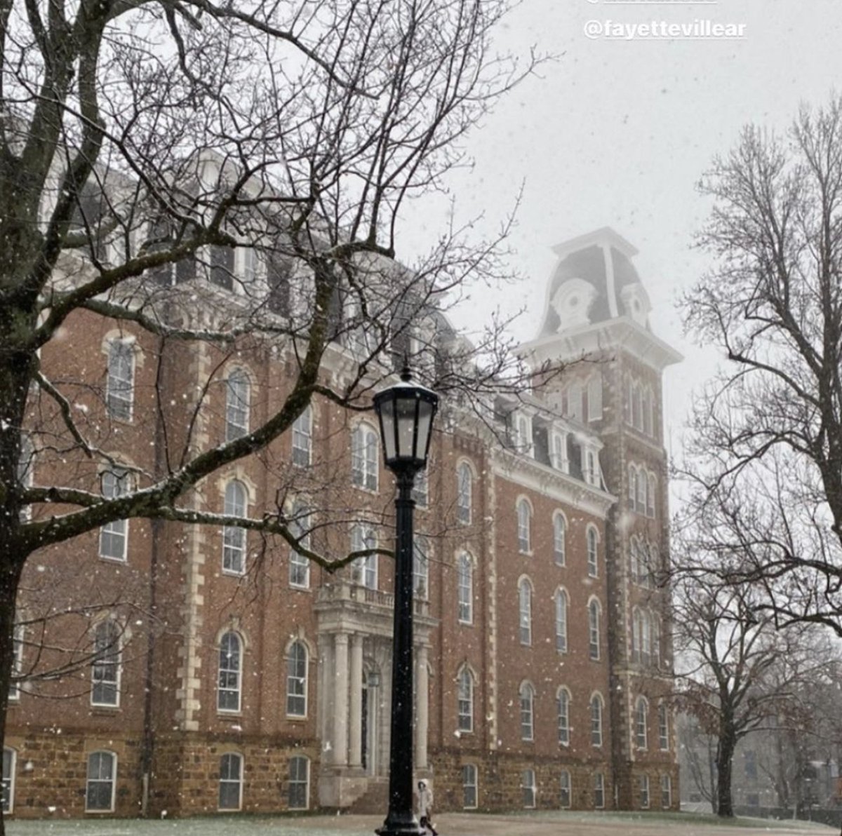 University of Arkansas tweet media