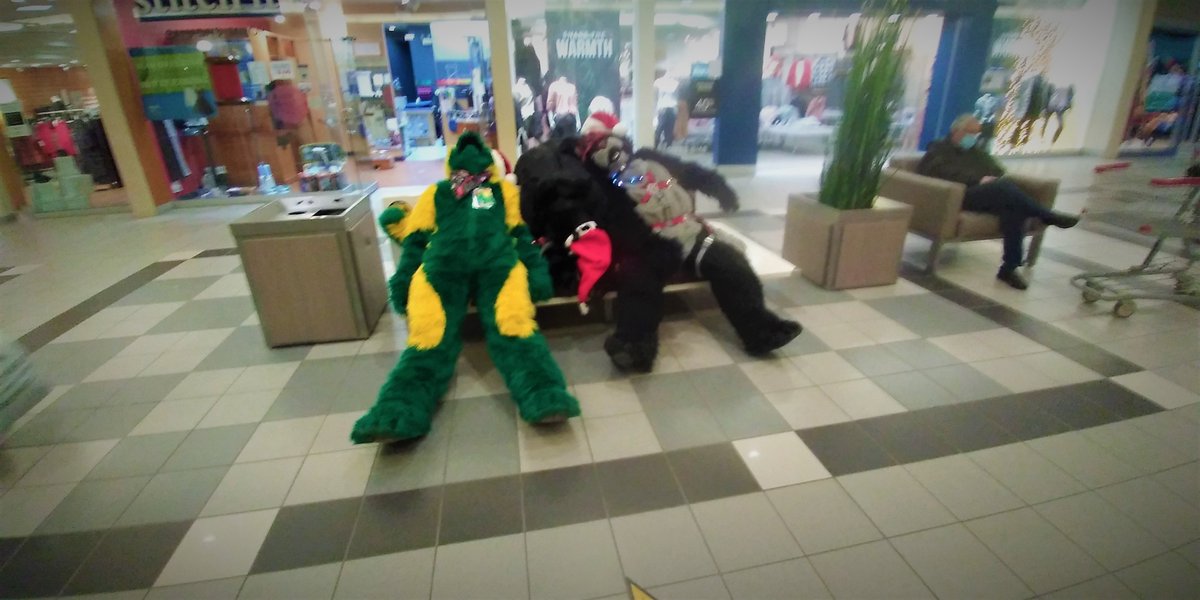 saskprairiedog's tweet photo. Mall Fur meet today was Pawesome.. @LivingSkiesFurs @SaskFurries https://t.co/p3SdauG2j6