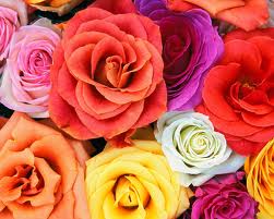 Nk_Demo1's tweet photo. Testing publishing with twitter channel with image 1607914900130 https://t.co/BG8rL7Vxps