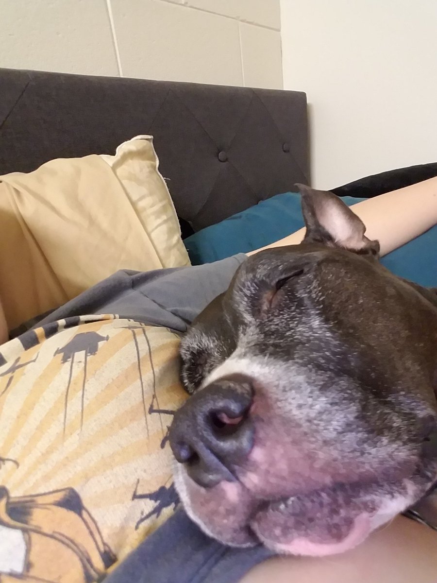 I have to go to the bathroom and turn off the lights to sleep. But how could I possibly disturb this face? She's even snoring 😭. I'm trapped. Send help.