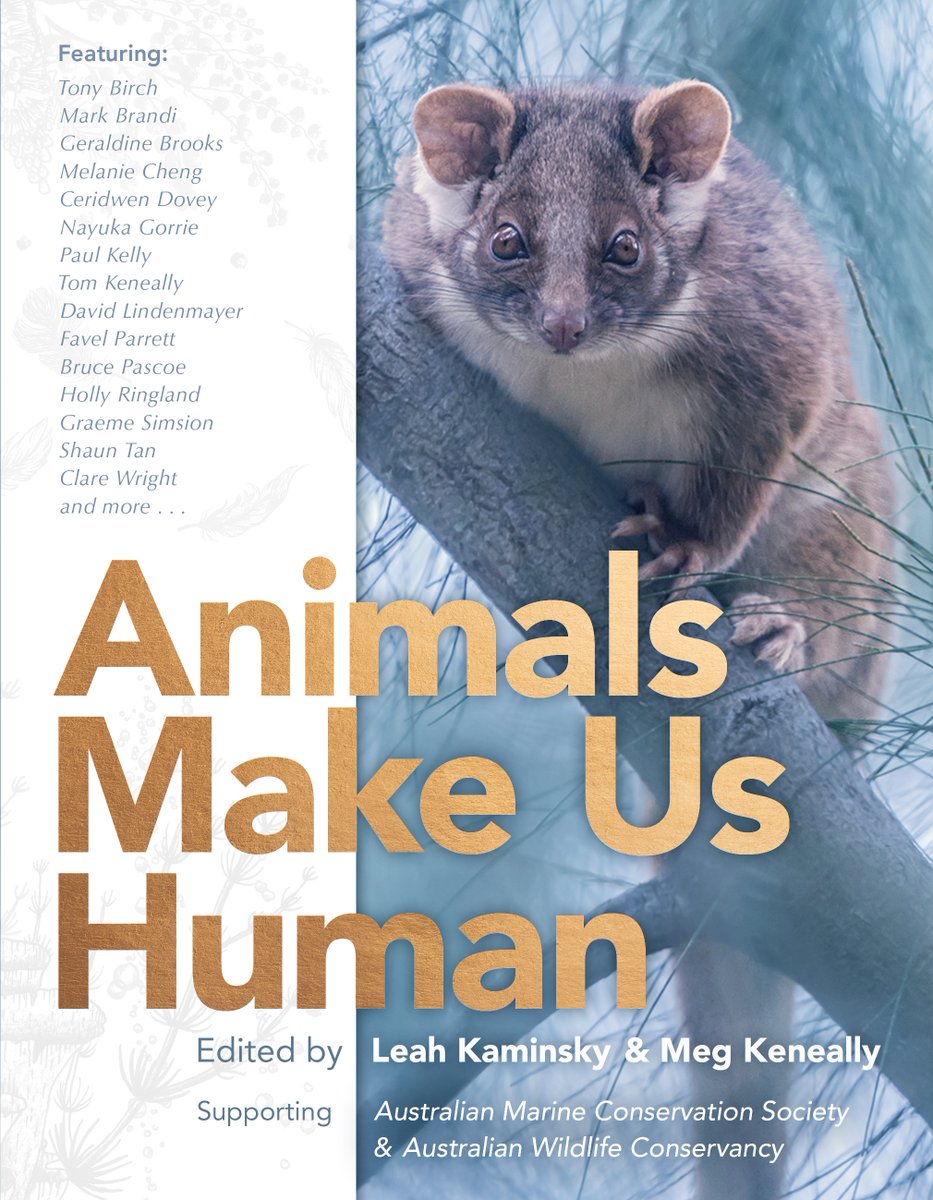 I'm such a nong, I forgot to recommend the one book I contributed to this year!! Animals Make Us Human compiles glorious writing and thinking on Australian native animals plus stunning photographs (including mine!). All proceeds go towards conservation too.