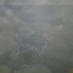 ツイートに含まれる画像