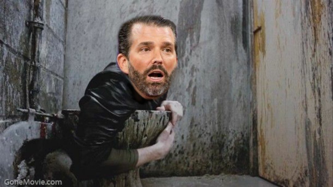 margie_hathaway's tweet photo. One can't simply ignore the irony of Don Jr simultaneously complaining about Hunter Biden while giving us full Trainspotting vibes at a Motel 6 #TrumpCrimeFamily #TrumpIsPathetic #Covid_19 #ButHunter #JrTrainspotting https://t.co/XpHmwih3Em