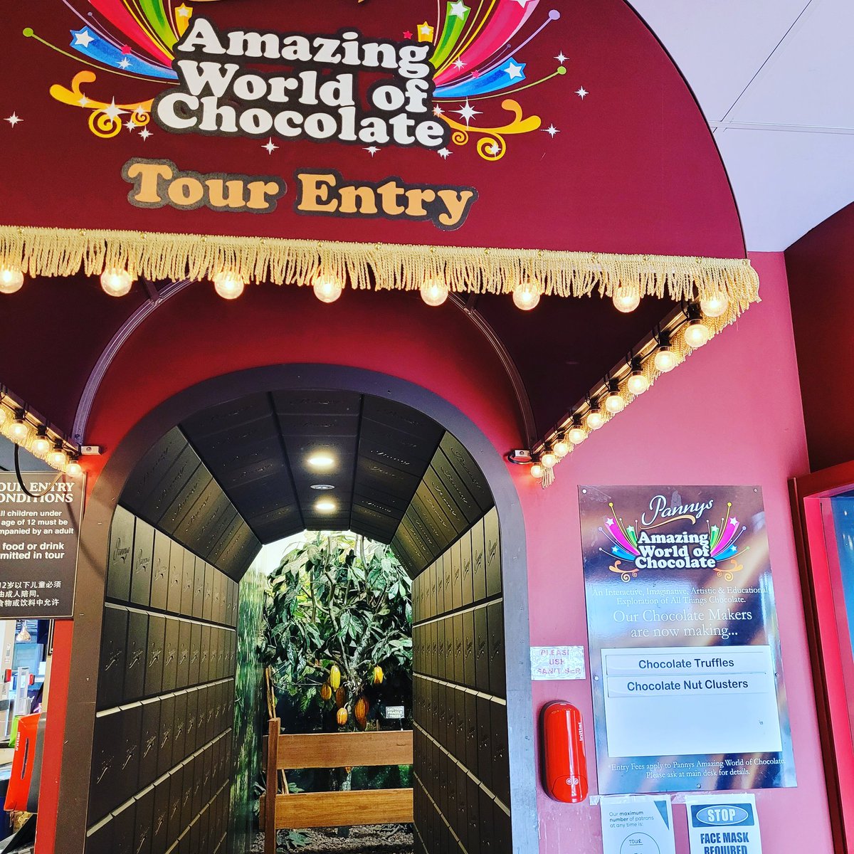 VDiscovers's tweet photo. Victoria Discovers were invited to the world of imagination of Panny’s Chocolate Factory located on Phillip Island. 

https://t.co/rGhA4nH2uK
 #thingstodoonphillipisland #phillipisland  #visitphillipisland #visitgippsland #discovervictoria #victoriadiscovers https://t.co/8Z0309dHXd
