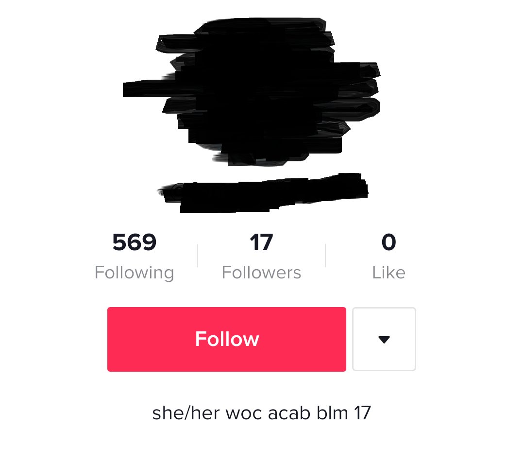 (6) Here screenshots of users who followed a Uyghur Genocide Denial account. Uyghur Genocide Denialists realized that they can communicate their message to youth with impunity. Without worrying about their videos being taken down, Uyghur Genocide Denial is a major issue with