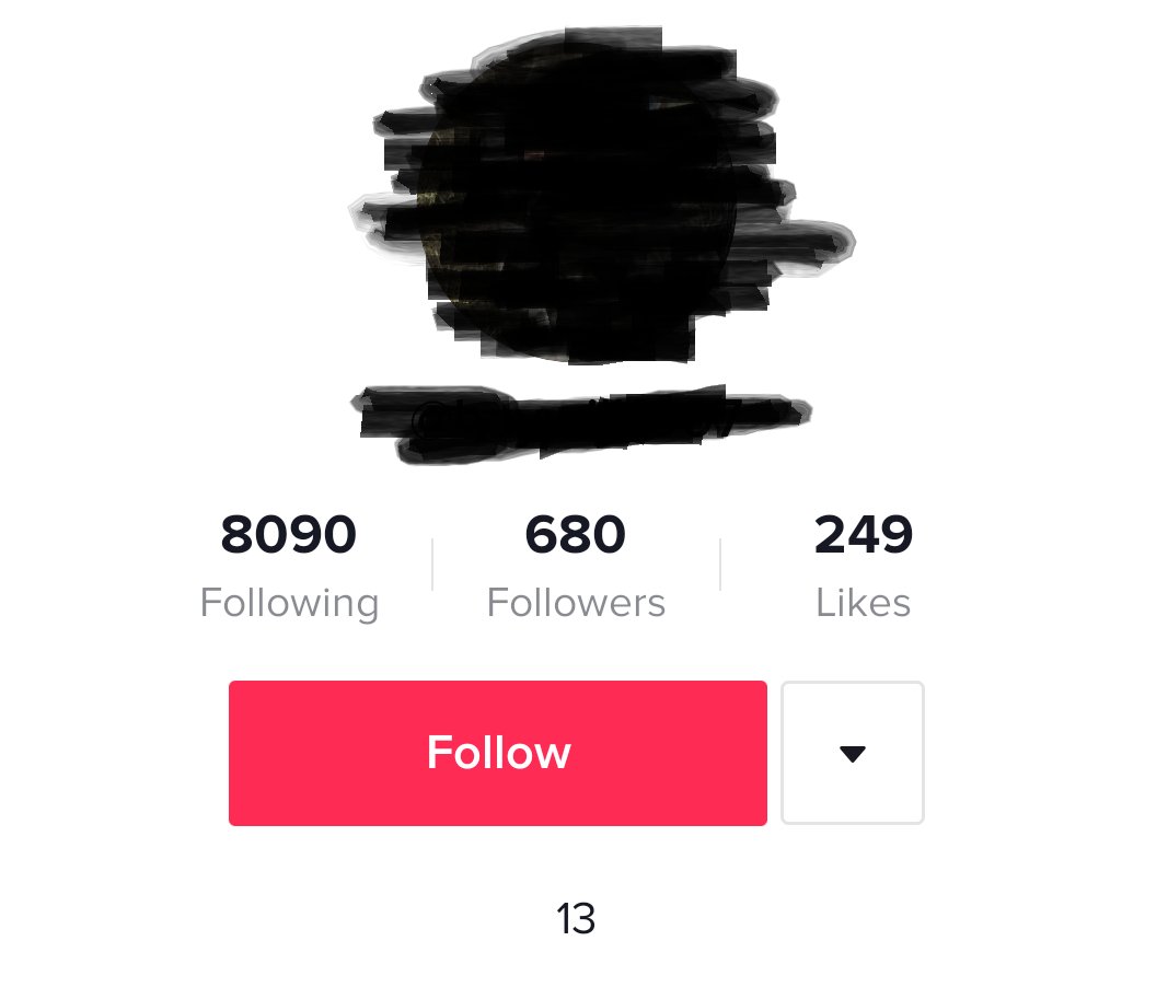 (6) Here screenshots of users who followed a Uyghur Genocide Denial account. Uyghur Genocide Denialists realized that they can communicate their message to youth with impunity. Without worrying about their videos being taken down, Uyghur Genocide Denial is a major issue with