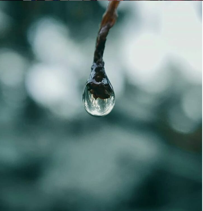 ShowDaddyIN's tweet photo. See Pic: Idris Munir clicked this photo depicting the importance of Turn Off the Tap to Save and conserve water!
What have you been busy with? Share your photos or videos with us. #ShowDaddy
#CaptureTheMoment #RediscoverYou #StaySafeSaveLives #contestalertindia https://t.co/QFO34rnTxn