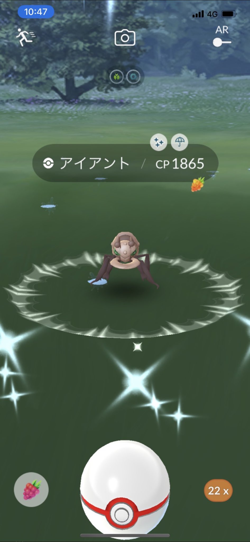 アイアント色違い Twitter Search Twitter