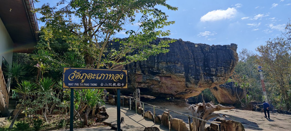 rappech's tweet image. มากราบปู่มุจลินท์