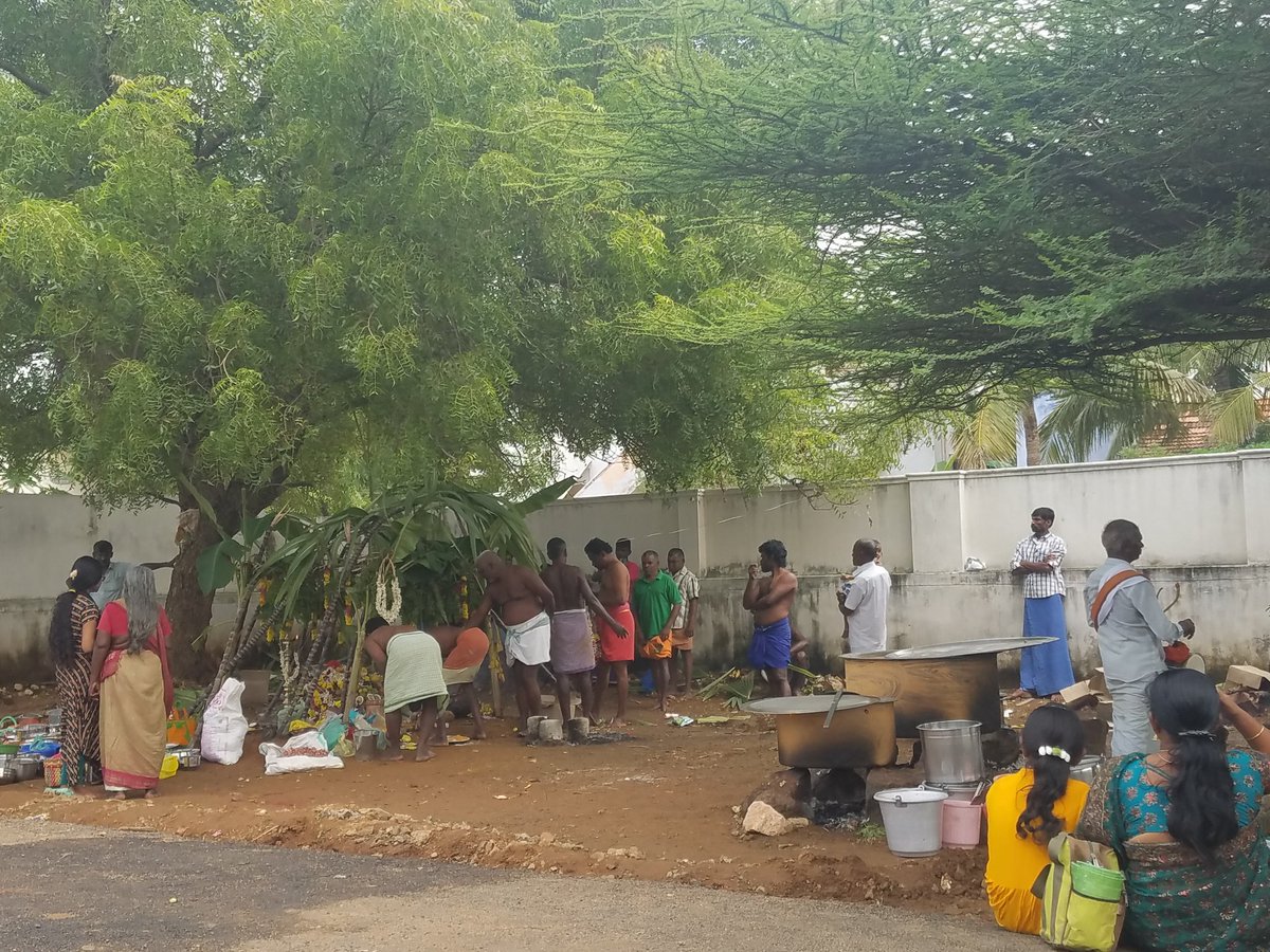 Tale of two villages.Yesterday was the last sunday of tamil month Karthigai. In villages all over Tirunelveli, they pray to Vadakathiamman thanking her for protecting the village. This Amman doesn't have a temple and resides under a neem tree in our village.