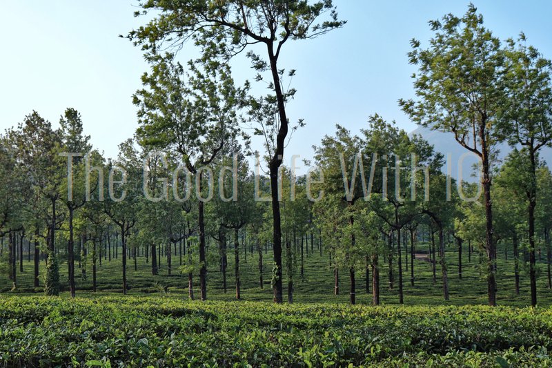 GoodLifeWithIQ's tweet photo. New travel images on the Pic Shop! ๐ Click the link to buy and download. Use the images on your device, for a print project, or even for your home: https://t.co/vfWBZ7ATd4
#travelphotography #stockphotography #iqspicshop #thegoodlifewithiq https://t.co/RGCS9cG9pk