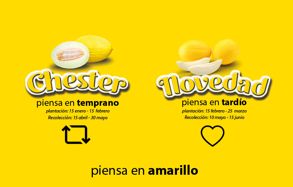 Sabemos que es una difícil decisión pero... ¿cuál es tu favorita?  🍈 🤩
