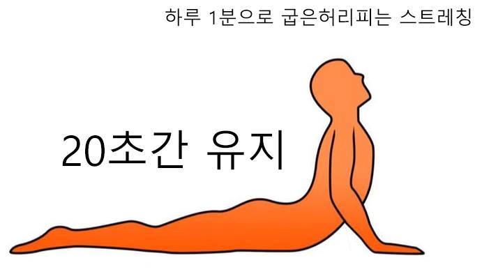 honeytip_backup's tweet photo. 하루 1분으로 굽은 허리 피는 스트레칭 https://t.co/X5bOUs1fXe