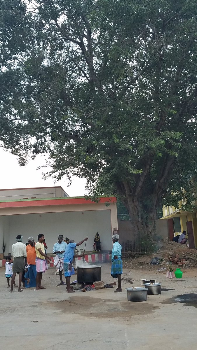 Unlike our village, LM's village doesn't have communal living habits. Though they make one common koozh, families choose to make their own koozh in individual vessels.