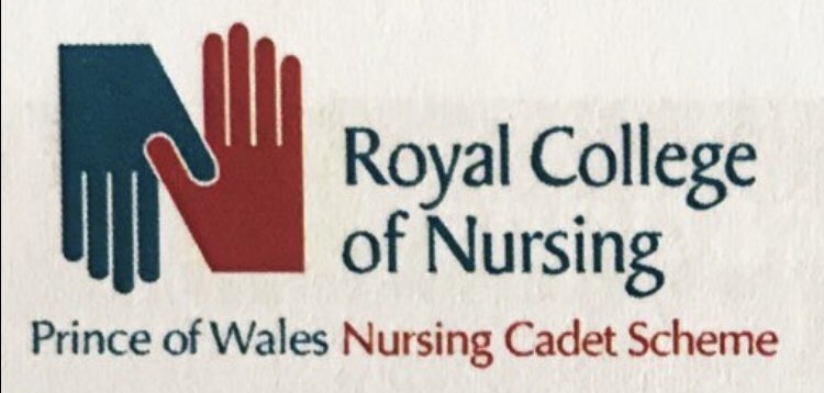 Cllr Andy King OStJ BSc(Hon) RN, FFSC, FCSCM, AGMS tweet media