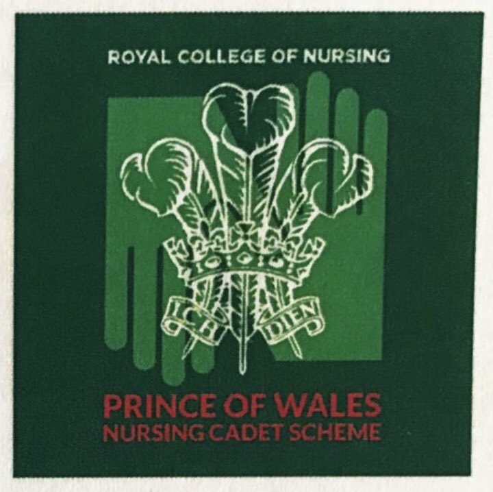 Cllr Andy King OStJ BSc(Hon) RN, FFSC, FCSCM, AGMS tweet media