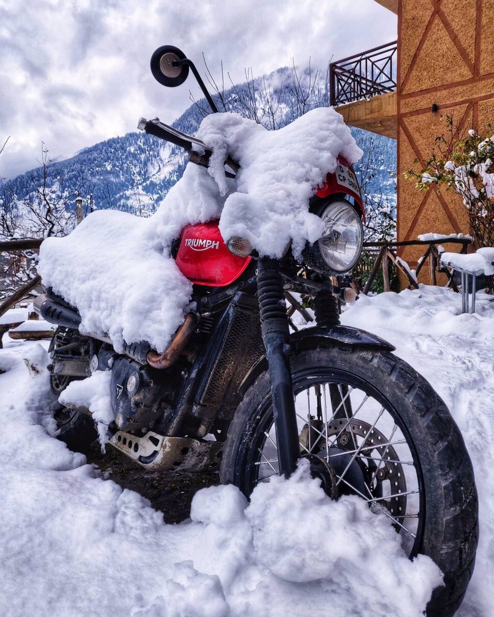 IndiaTriumph's tweet photo. While everyone's got the Monday morning blues, we got the RED!
#BeatTheBlues #ModMonday #TriumphIndia #ForTheRide #HelloWinters
📷: Ride Inn https://t.co/EKtwDkFuw9