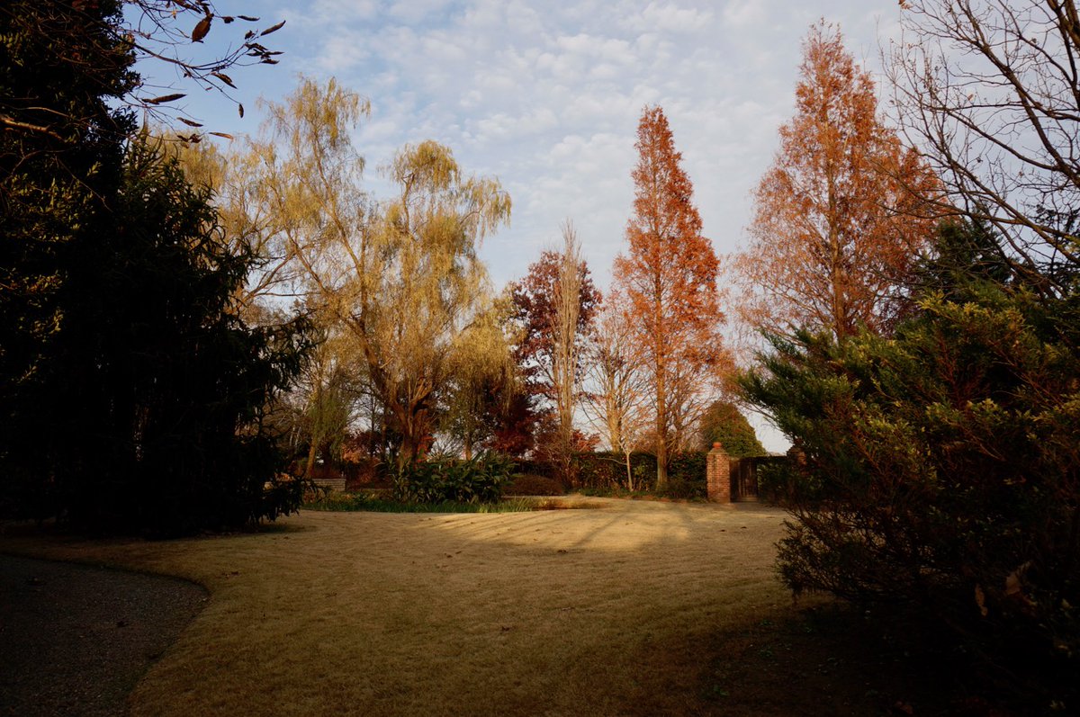 jhbotanicgarden's tweet photo. 【A&amp;Wボタニックガーデン】

入園無料のお知らせ

当園は2020年12月20日をもちまして閉園いたします。
18年間のご愛顧と感謝の気持ちを込めて、12月16日から12月20日まで「入園無料」とさせていただきます。

最後のA&amp;Wボタニックガーデンを晩秋の美しい風景とともにお楽しみください！ https://t.co/BoqvFI7PPl