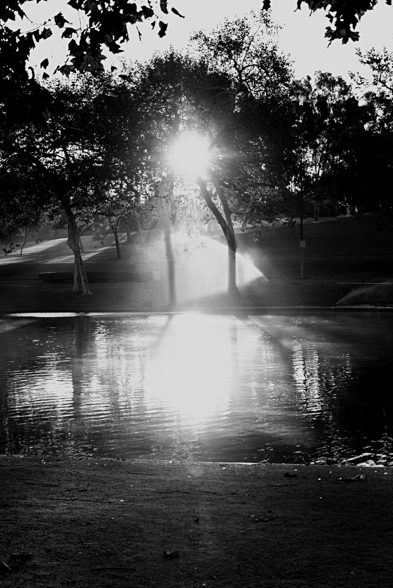 Sunny Pond 
#landscapescenery #landscapebeauty #landscapeCapture #photo #photographer #NaturePhotography #naturephotographer #nature #pond #SonyAlpha #SonyAlpha #bnw #blackandwhitephotography #blackandwhite