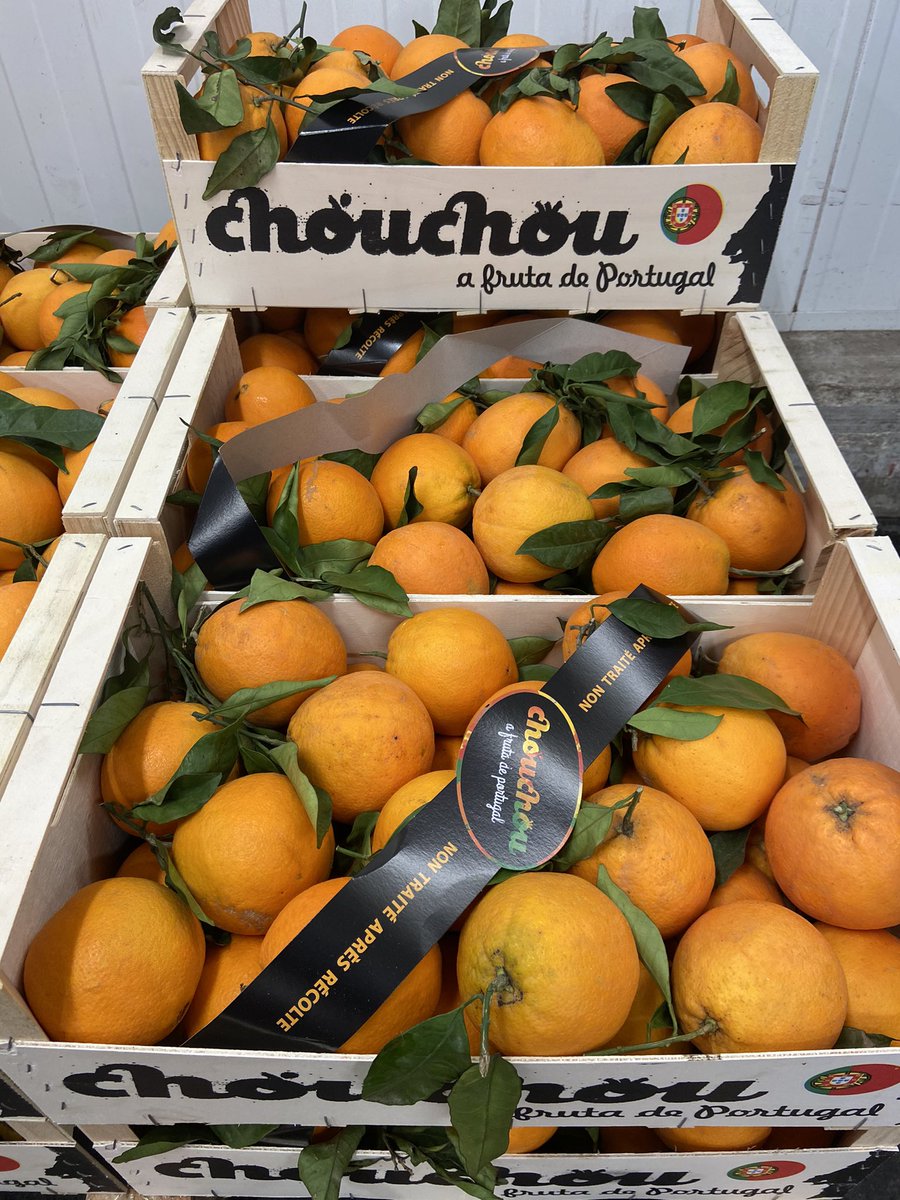 🤶- 10 ! On démarre la semaine avec chouchou ! Voici de la vitamine C en provenance du Soleil ☀️ du 🇵🇹 ! Que la force soit avec vous avec les <a href="/FruitsLegumesFR/">Les Fruits et Légumes Frais</a> 🍊👌🍊👍🍊😋🍊 <a href="/AndreMighirian/">André Diogo</a>