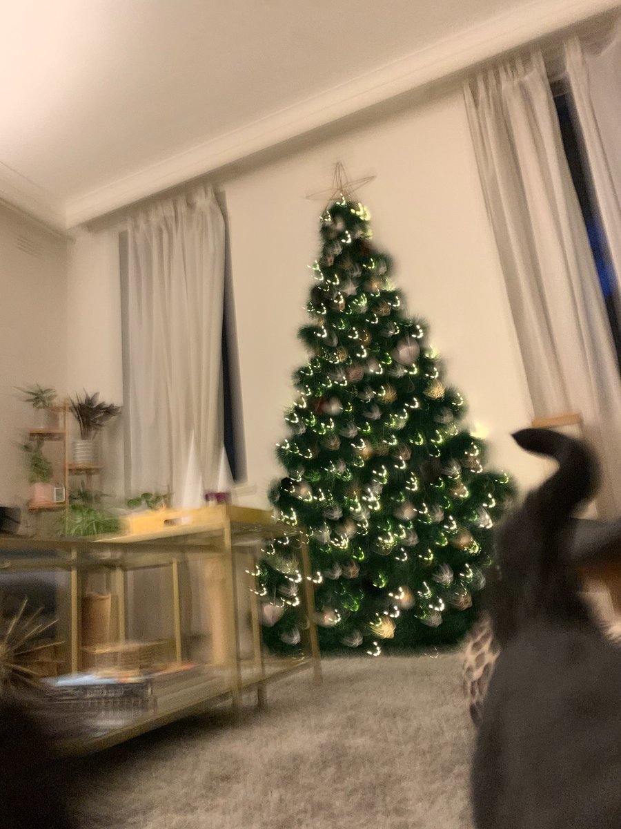 TCunnington's tweet photo. From the Apartments of Her Serene Highness, The Empress Nyx

Dear Messrs Sims &amp; Newall

The household staff would like to thank you for your kind incantation. It has proved very efficacious.

Kind Regards

@jonnywaistcoat @AlexanderNewall @TheRustyQuill #RQGG20 https://t.co/cCzyMpLSEW