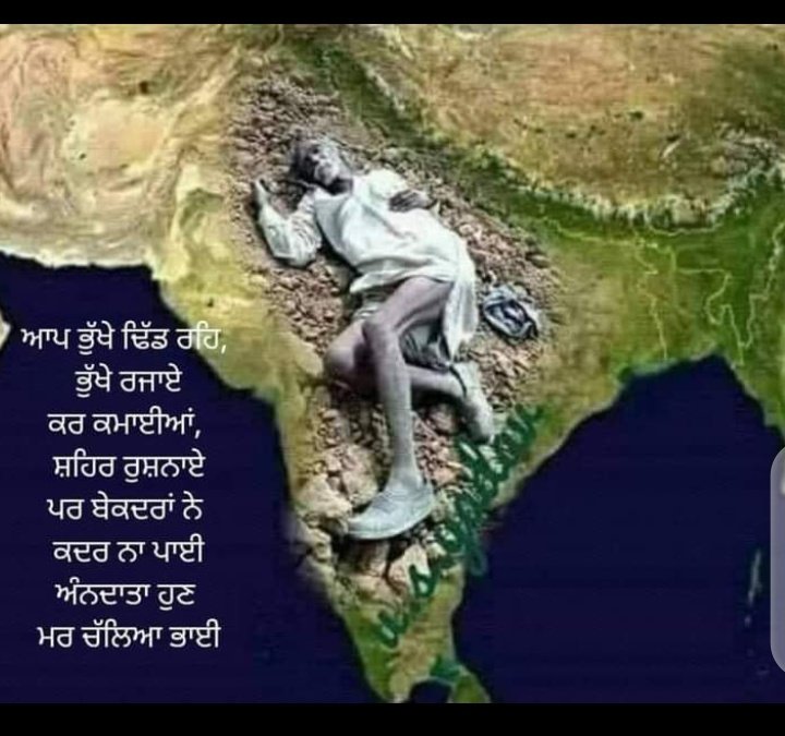 Sunil Jolly tweet media