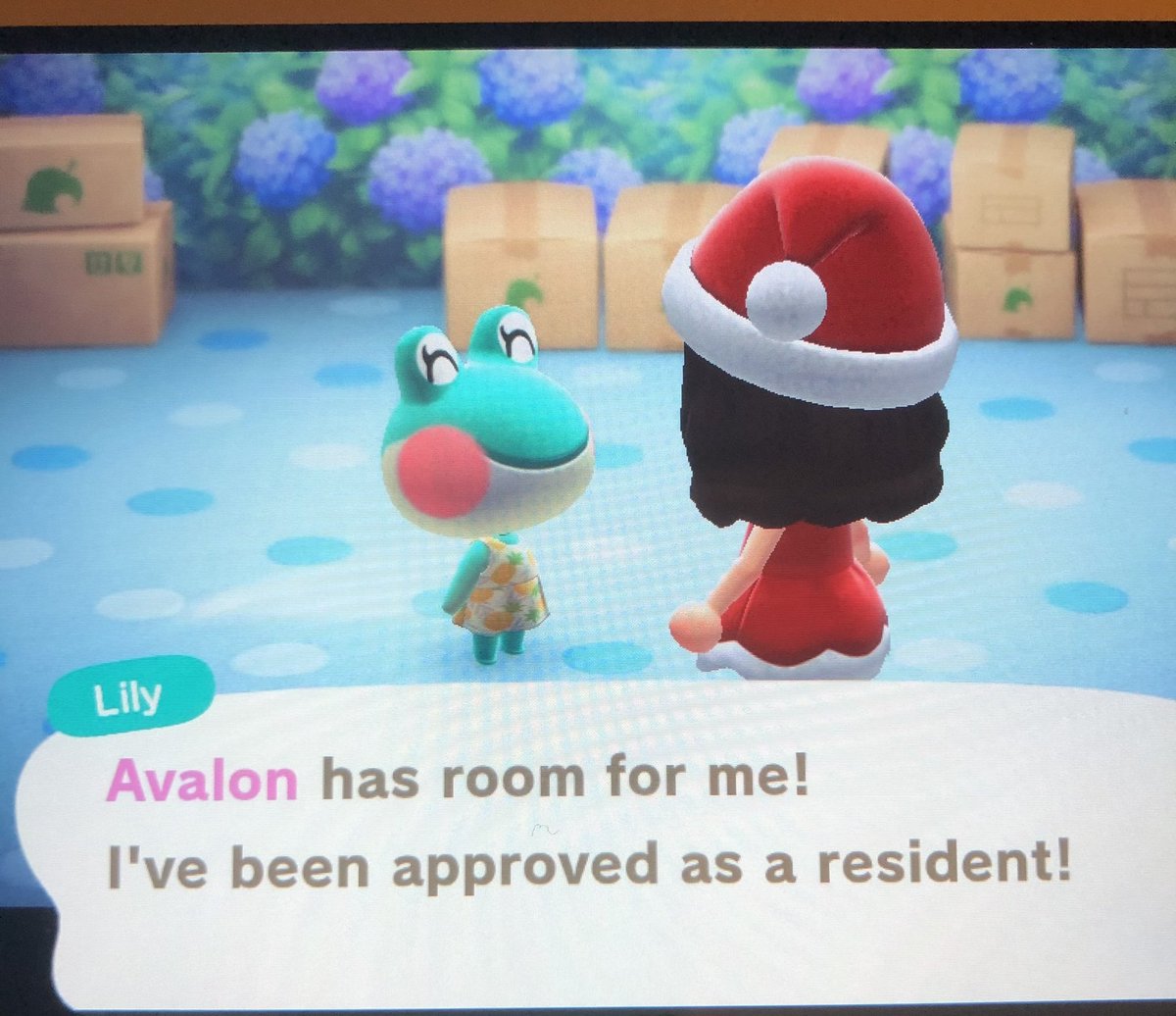 i finally got Lily 😭 💕 ty <a href="/acnhddalgi/">ddalgi's island 🍓</a>