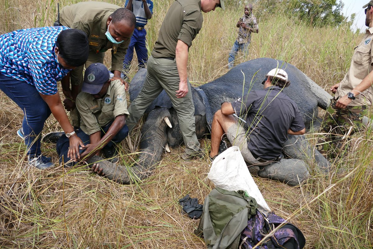Pendjari National Park tweet media