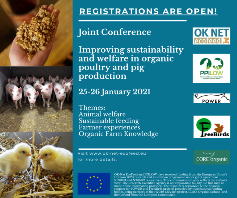 🐷🐔 Calling all #Organic Pig and Poultry farmers:
 Are you interested in #FeedSustainability and #AnimalWelfare? 

Join <a href="/ecofeed/">OK-Net-EcoFeed</a> and others at this joint conference ...

📆 25-26 Jan 21 
Read more: ow.ly/3yFG50CHJP1 
Register: ow.ly/Cng450CHJP0

#H2020