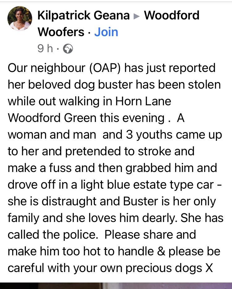 Our neighbour OAP just reported her beloved dog buster has been stolen Horn Lane Woodford Green, 13th December 2020. A woman, man & 3 youths grabbed him and drove off in a light blue estate car - she is distraught & Buster is her only family Call police on 101 #PetTheftReform