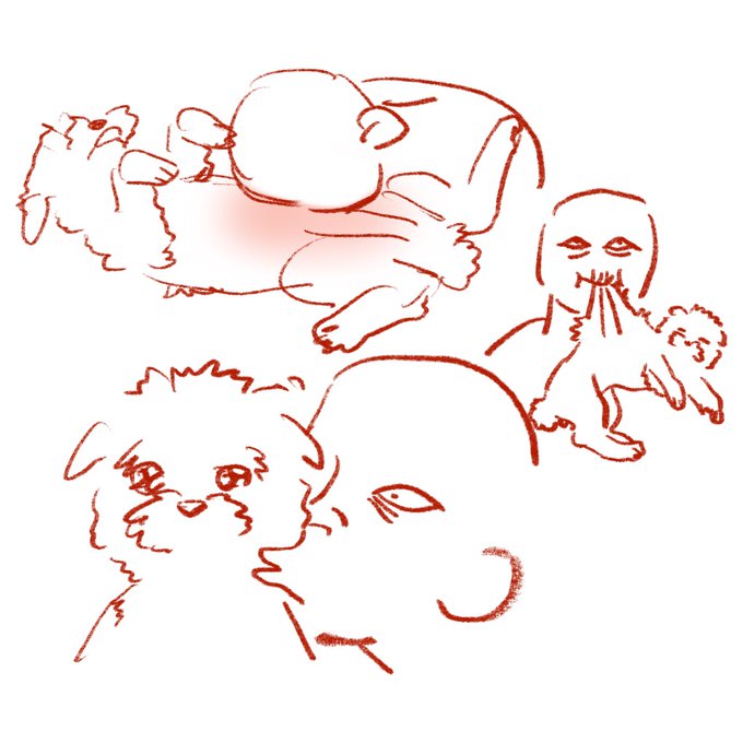 I miss my friend's dog 