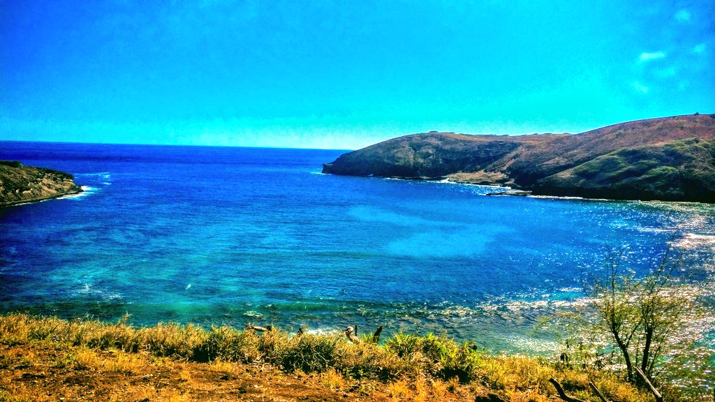 HostBrian's tweet photo. It is incredible to think this time last year I was sitting back on the beach watching the #Pipelinemasters in #Hawaii. How the world can change in such a short time. I am thankful for the opportunity we took a year ago and hope the world frees itself from COVID. #teacherslife https://t.co/AcwPxqjjD1