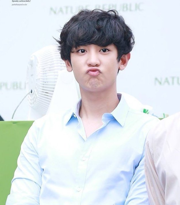 chanyeol (3/3)