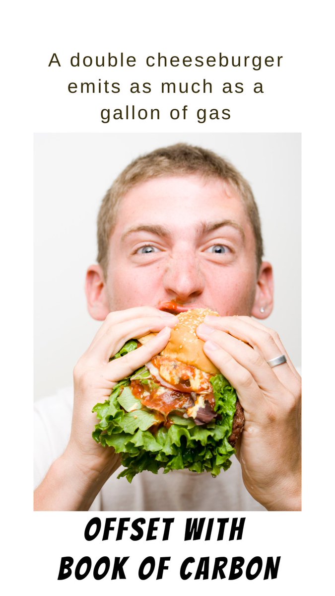 BookofCarbon's tweet photo. A double cheese burger emits as much as a gallon of gasoline! https://t.co/AZiCS9Su0a https://t.co/8A749u8quS